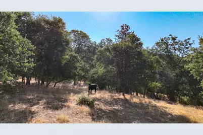 0 Whitaker Forest Road, Miramonte, CA 93641 - Photo 15