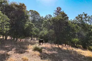 0 Whitaker Forest Rd, Miramonte, CA 93641 - Photo 15