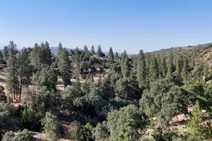 0 Whitaker Forest Rd, Miramonte, CA 93641 - Photo 39