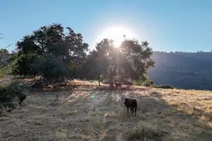 0 Whitaker Forest Rd, Miramonte, CA 93641 - Photo 13