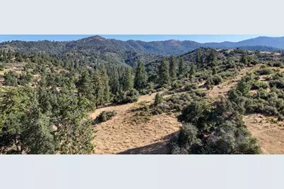 0 Whitaker Forest Road, Miramonte, CA 93641 - Photo 43