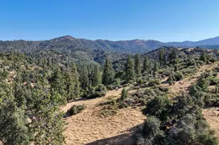 0 Whitaker Forest Rd, Miramonte, CA 93641 - Photo 43