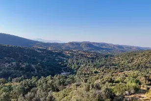 0 Whitaker Forest Rd, Miramonte, CA 93641 - Photo 21