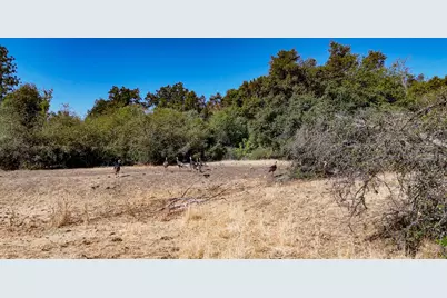 0 Whitaker Forest Road, Miramonte, CA 93641 - Photo 7