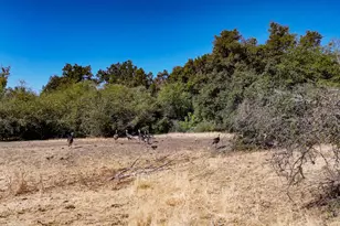 0 Whitaker Forest Rd, Miramonte, CA 93641 - Photo 7