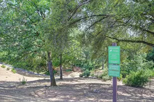504 Chase Ct, Colfax, CA 95713 - Photo 91