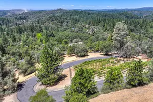 770 Bridle Path Rd, Colfax, CA 95713 - Photo 71