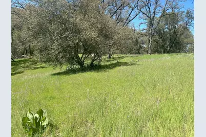 4600 Summer Creek Court, Shingle Springs, CA 95682 - Photo 1