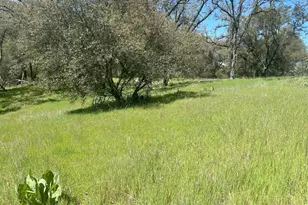 4600 Summer Creek Ct, Shingle Springs, CA 95682 - Photo 1