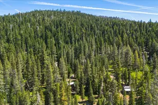 11 Clark Station, Calpine, CA 96124 - Photo 21