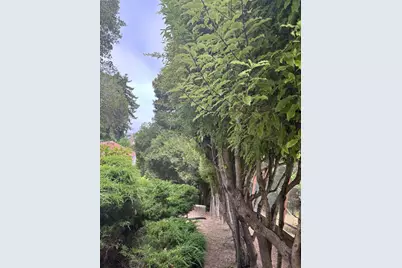 564 Spruce Street, Berkeley, CA 94707 - Photo 23