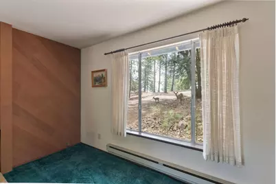 11082 Quail Drive, Pine Grove, CA 95665 - Photo 11