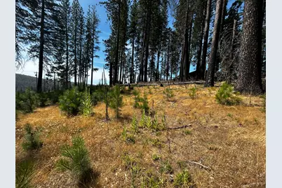 4904 Mount Pleasant Drive, Grizzly Flats, CA 95636 - Photo 3