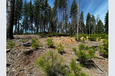 4904 Mount Pleasant Drive, Grizzly Flats, CA 95636 - Photo 5