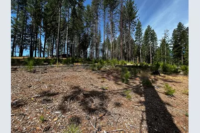 4904 Mount Pleasant Drive, Grizzly Flats, CA 95636 - Photo 1