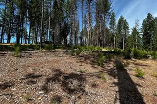 4904 Mt Pleasant Dr, Grizzly Flats, CA 95636 - Photo 1