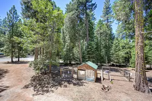 21282 Sierra Cir Dr, Pioneer, CA 95666 - Photo 59