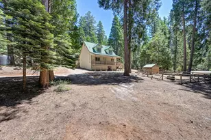 21282 Sierra Cir Dr, Pioneer, CA 95666 - Photo 37