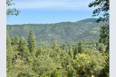 339 Snowberry Court, Murphys, CA 95247 - Photo 5