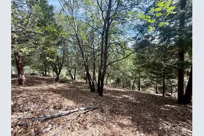 339 Snowberry Court, Murphys, CA 95247 - Photo 45