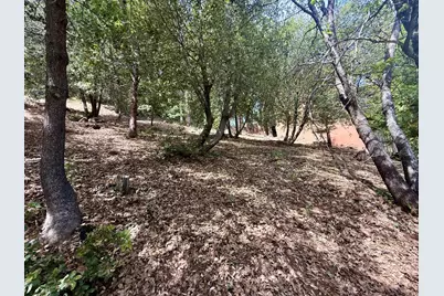 339 Snowberry Court, Murphys, CA 95247 - Photo 17
