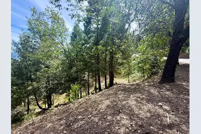 339 Snowberry Court, Murphys, CA 95247 - Photo 21