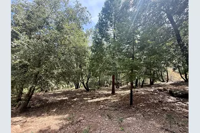 339 Snowberry Court, Murphys, CA 95247 - Photo 19