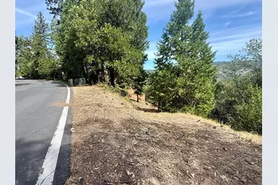 339 Snowberry Court, Murphys, CA 95247 - Photo 37