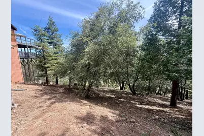 339 Snowberry Court, Murphys, CA 95247 - Photo 49