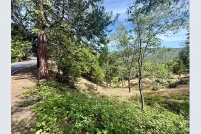 339 Snowberry Court, Murphys, CA 95247 - Photo 39