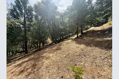 339 Snowberry Court, Murphys, CA 95247 - Photo 41