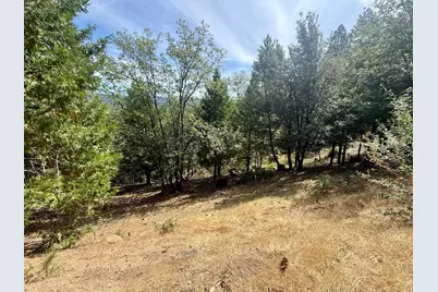 339 Snowberry Court, Murphys, CA 95247 - Photo 13