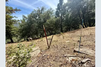 339 Snowberry Court, Murphys, CA 95247 - Photo 51