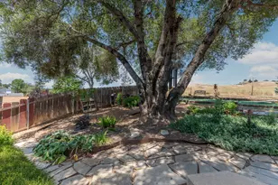 1070 Suzanne Dr, Angels Camp, CA 95222 - Photo 83