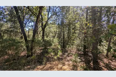 0 S Manzanita Hills Road, Colfax, CA 95713 - Photo 11