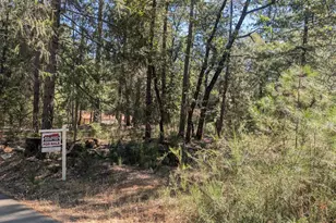 0 S Manzanita Hills Rd, Colfax, CA 95713 - Photo 1