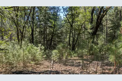 0 S Manzanita Hills Road, Colfax, CA 95713 - Photo 9