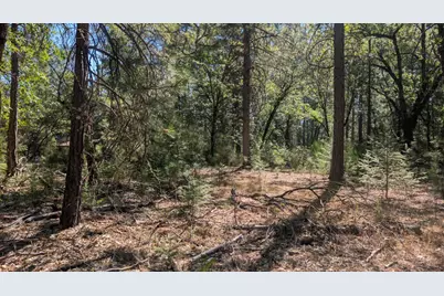 0 S Manzanita Hills Road, Colfax, CA 95713 - Photo 5