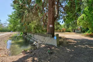3878 River Rd, Colusa, CA 95932 - Photo 49