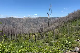 0 Rubicon Rd, Georgetown, CA 95634 - Photo 1