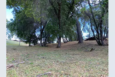 315 Mill Court, Angels Camp, CA 95222 - Photo 13