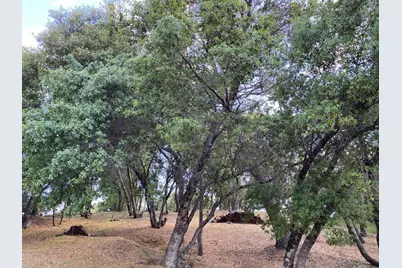 315 Mill Court, Angels Camp, CA 95222 - Photo 5