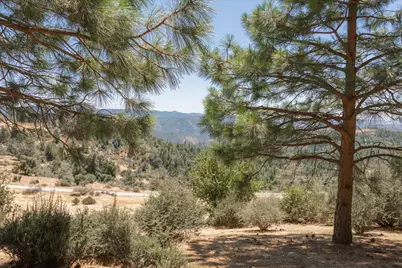 1202 Heather Drive, Murphys, CA 95247 - Photo 9