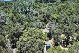 4440 Cosumnes View Trail, Placerville, CA 95667 - Photo 19