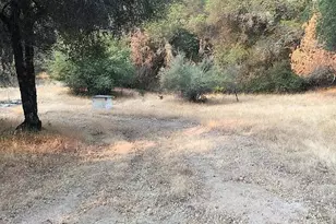 4440 Cosumnes View Trail, Placerville, CA 95667 - Photo 15