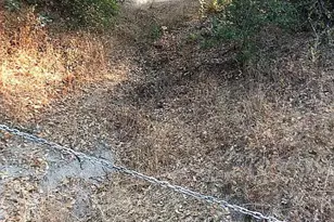 4440 Cosumnes View Trail, Placerville, CA 95667 - Photo 9