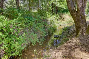 1325 Boole Rd, Applegate, CA 95703 - Photo 39
