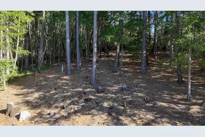 1325 Boole Road, Applegate, CA 95703 - Photo 45