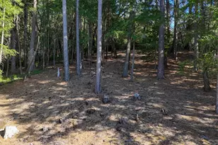 1325 Boole Rd, Applegate, CA 95703 - Photo 45