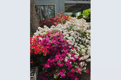 9111 Yellow Flower Place, Fair Oaks, CA 95628 - Photo 73